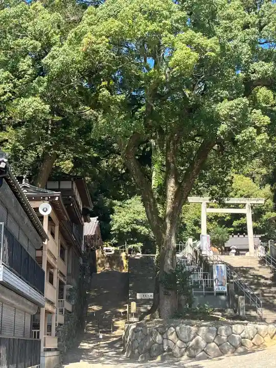 多度大社の{uncategorized: "未分類", other: "その他", undefined: "問題あり", building: "その他建物", grave: "お墓", sacred_gate: "鳥居", guardian: "狛犬", statue: "像", buddha: "仏像", history: "歴史", nature: "自然", garden: "庭園", animal: "動物", pagoda: "塔", temizu: "手水舎", mountain_gate: "山門・神門", sanctuary: "本殿・本堂", subordinate: "末社・摂社", art: "芸術", scenery: "景色", jizo: "地蔵", ema: "絵馬", goshuin: "御朱印", omikuji: "おみくじ", items: "授与品その他", amulet: "お守り", goshuincho: "御朱印帳", eats: "食事", festival: "お祭り", votive_dance: "神楽", shichigosan: "七五三参", wedding: "結婚式", experience: "体験その他", initially: "初詣", around: "周辺", anti_infection: "感染症対策"}