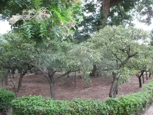 道明寺天満宮の庭園