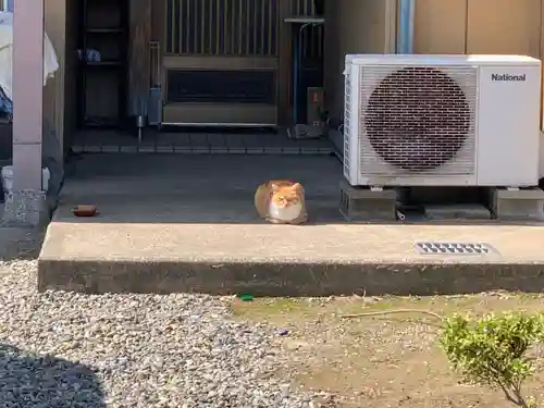 西願寺阿弥陀堂の動物