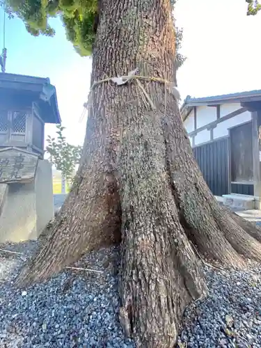 玉田神社の自然