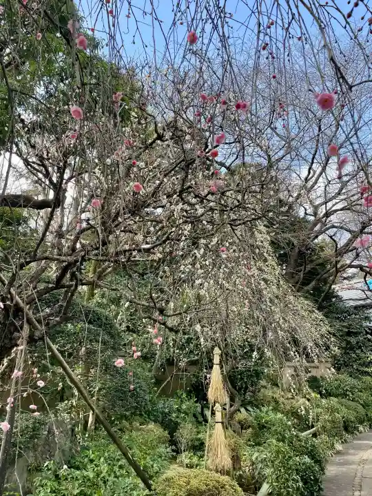 無量寺の{uncategorized: "未分類", other: "その他", undefined: "問題あり", building: "その他建物", grave: "お墓", sacred_gate: "鳥居", guardian: "狛犬", statue: "像", buddha: "仏像", history: "歴史", nature: "自然", garden: "庭園", animal: "動物", pagoda: "塔", temizu: "手水舎", mountain_gate: "山門・神門", sanctuary: "本殿・本堂", subordinate: "末社・摂社", art: "芸術", scenery: "景色", jizo: "地蔵", ema: "絵馬", goshuin: "御朱印", omikuji: "おみくじ", items: "授与品その他", amulet: "お守り", goshuincho: "御朱印帳", eats: "食事", festival: "お祭り", votive_dance: "神楽", shichigosan: "七五三参", wedding: "結婚式", experience: "体験その他", initially: "初詣", around: "周辺", anti_infection: "感染症対策"}