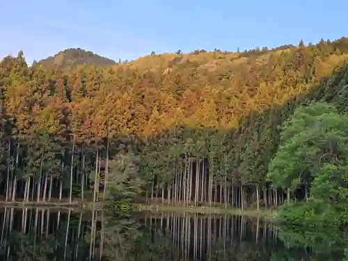 堀越神社(奈良県)
