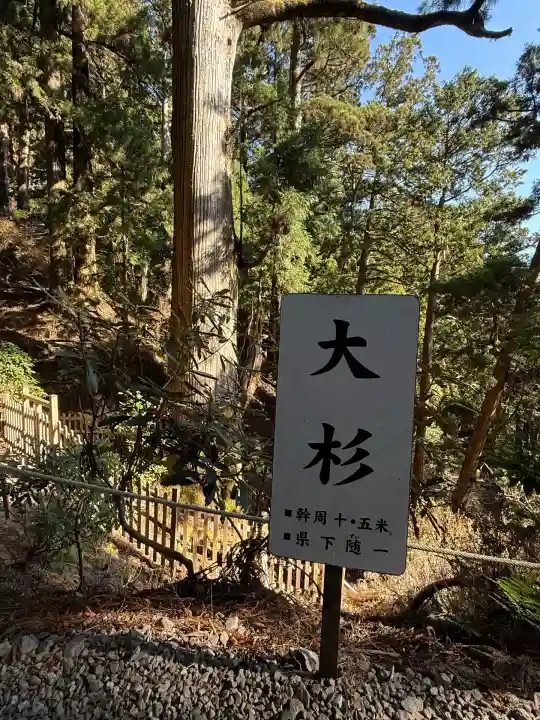 玉置神社(奈良県)