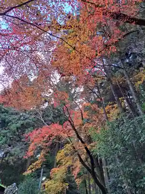 日吉大社(滋賀県)