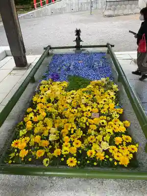 住吉神社の手水舎