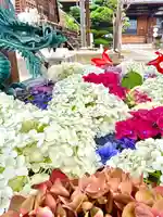 長遠寺の手水舎