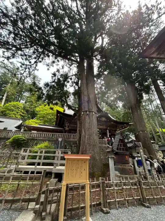 三峯神社(埼玉県)