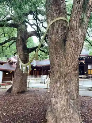 明治神宮(東京都)