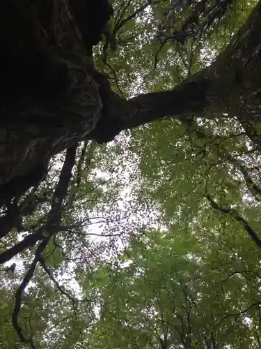 富岡神社(北海道)