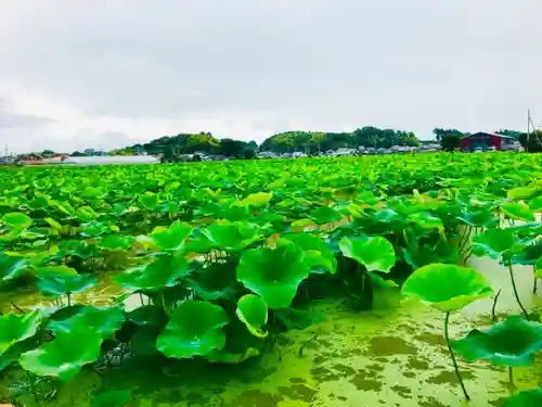 青麻神社の自然