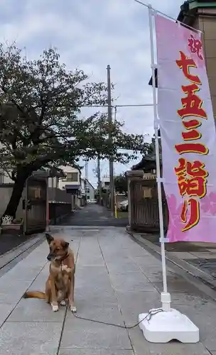本久寺の動物