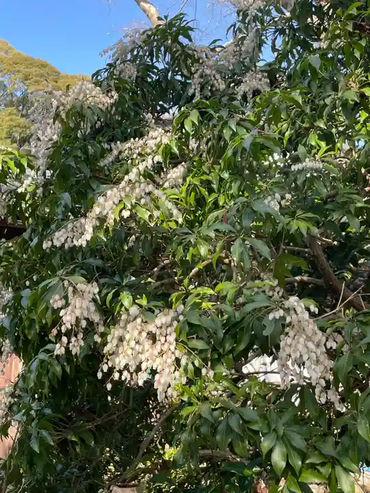 浄瑠璃寺(京都府)