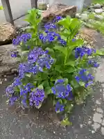 宝壽山 吉祥院の自然