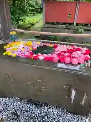 前玉神社(埼玉県)