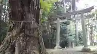 今宮三社神社の鳥居