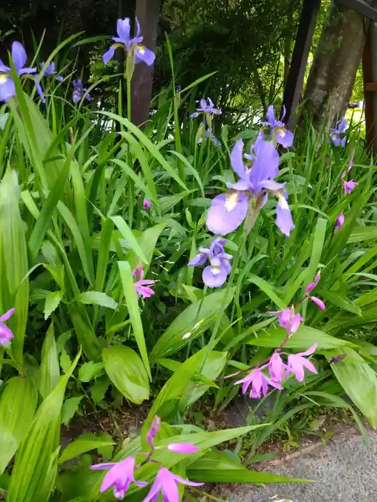 国宝 長寿寺(滋賀県)