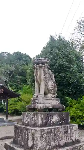 大隅神社の狛犬