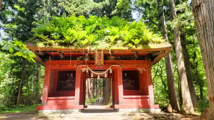 戸隠神社九頭龍社(長野県)