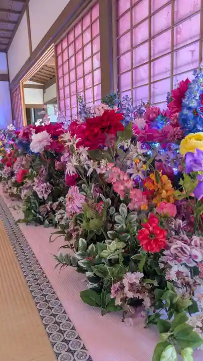 隨心院(随心院)(京都府)