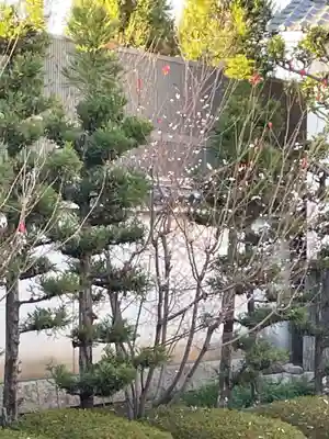 妙蓮寺(京都府)