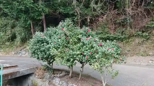 熊沢権現神社の自然
