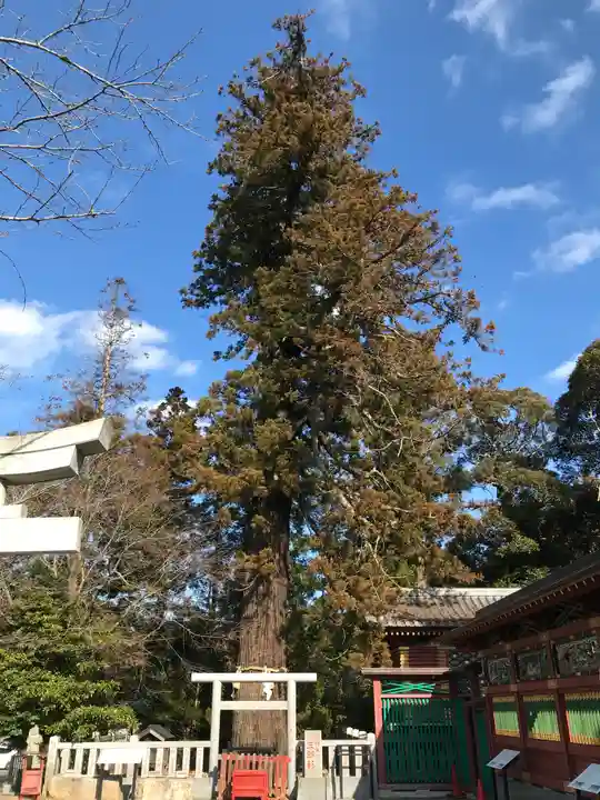 大杉神社のその他建物