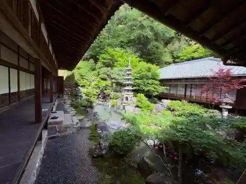 興聖寺（興聖寶林禅寺）の{uncategorized: "未分類", other: "その他", undefined: "問題あり", building: "その他建物", grave: "お墓", sacred_gate: "鳥居", guardian: "狛犬", statue: "像", buddha: "仏像", history: "歴史", nature: "自然", garden: "庭園", animal: "動物", pagoda: "塔", temizu: "手水舎", mountain_gate: "山門・神門", sanctuary: "本殿・本堂", subordinate: "末社・摂社", art: "芸術", scenery: "景色", jizo: "地蔵", ema: "絵馬", goshuin: "御朱印", omikuji: "おみくじ", items: "授与品その他", amulet: "お守り", goshuincho: "御朱印帳", eats: "食事", festival: "お祭り", votive_dance: "神楽", shichigosan: "七五三参", wedding: "結婚式", experience: "体験その他", initially: "初詣", around: "周辺", anti_infection: "感染症対策"}