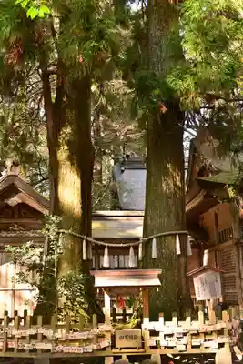 高千穂神社(宮崎県)
