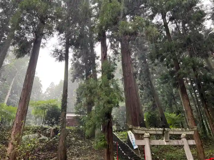 大宮温泉神社(栃木県)