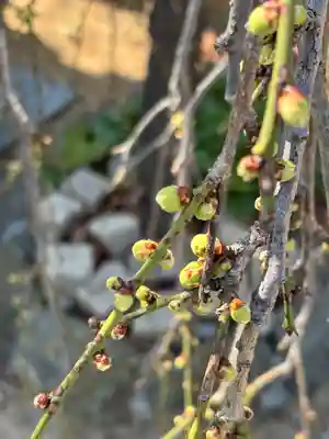 正覚寺(兵庫県)