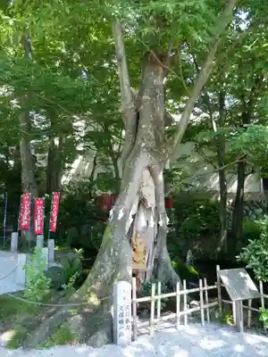 秩父今宮神社のその他建物