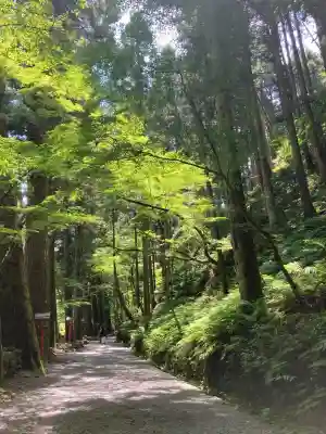 貴船神社(京都府)