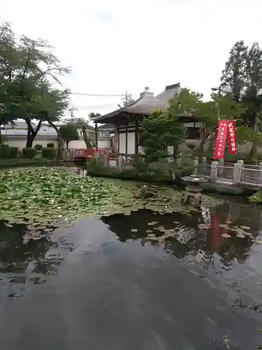 圓照寺(埼玉県)