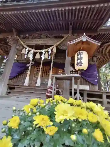 間々田八幡宮の本殿・本堂