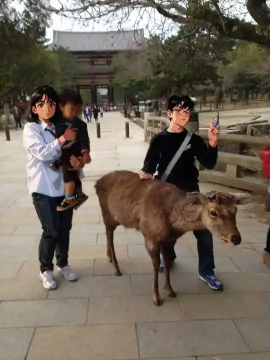 東大寺(奈良県)