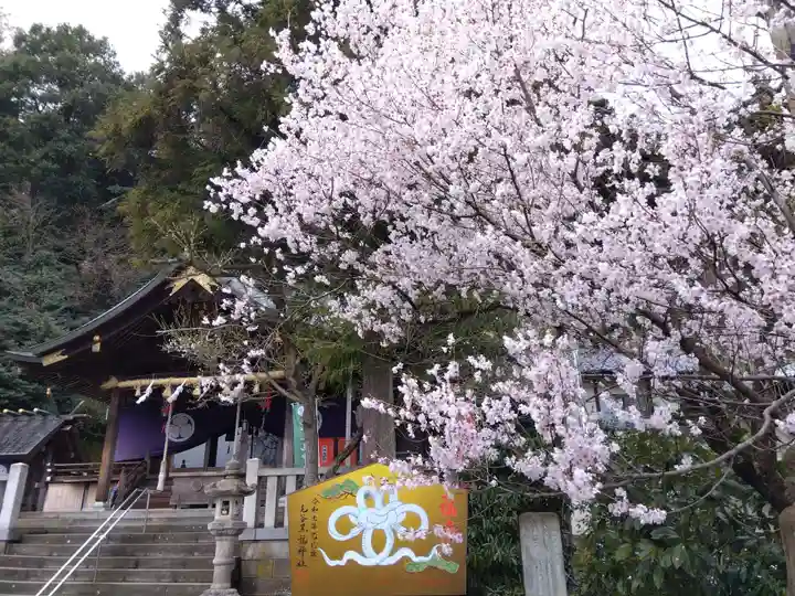 毛谷黒龍神社(福井県)