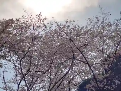 腰掛神社(神奈川県)