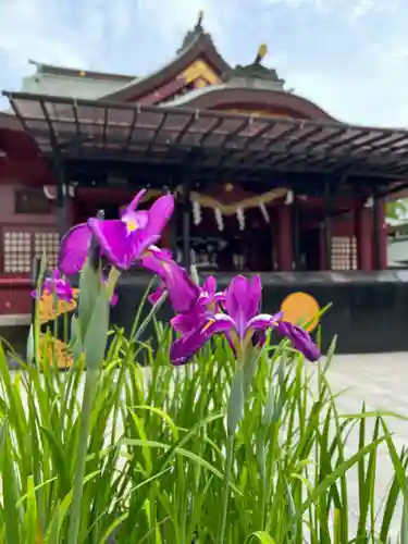 笠間稲荷神社の自然