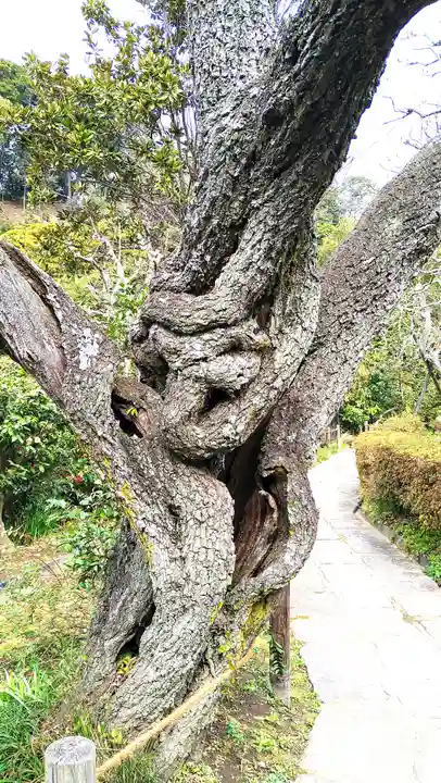 瑞泉寺(神奈川県)