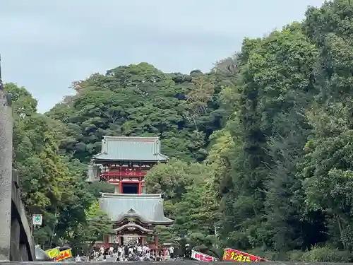 鶴岡八幡宮の景色