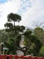 清水観音堂の景色