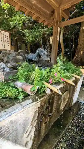 畑子安神社の手水舎
