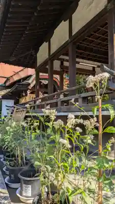 下御霊神社(京都府)