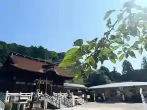 手力雄神社(岐阜県)(2025年08月01日(金) 11時06分51秒投稿)