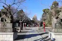 鷲宮神社(埼玉県)