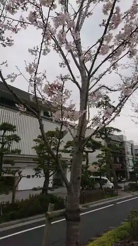 鶴岡八幡宮の周辺