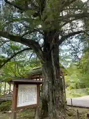 佛通寺(広島県)