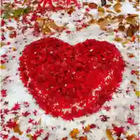 彌彦神社 (伊夜日子神社)(北海道)