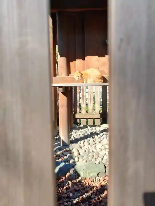 松姤社(熱田神宮摂社)の動物