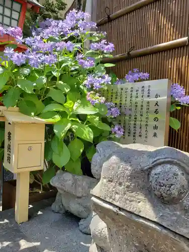 十番稲荷神社のその他建物